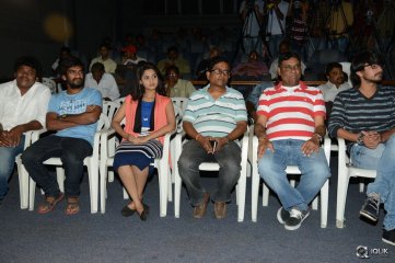 Seethamma Andaalu Raamayya Sithraalu Movie Success Meet